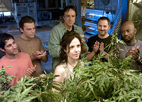 Weeds Weeds